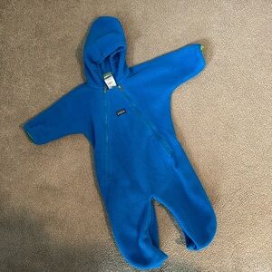 Patagonia Bunting